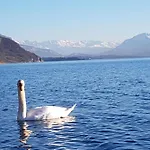 O Cocon Du Lac, Magnifique Studio De Charme 30 M2, Ideal Curistes